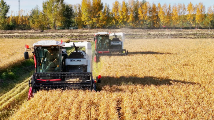 60a55c1e37204e7f92f557e125828731