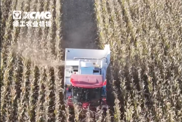 cac95b3100e148bab3d88bb08684943c