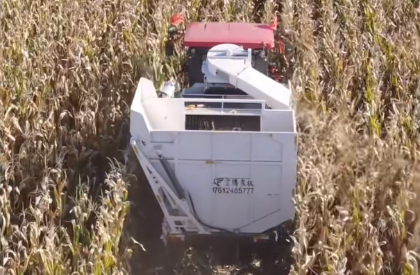 cb4a9cdcc1dd448c9a037d4a0d06f1a6