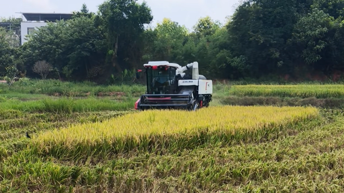 XR720跨区水稻机，，，高效作业促丰收